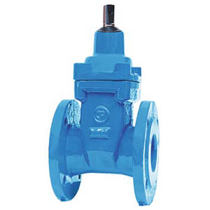 gate valve / for water / flange / cast iron
