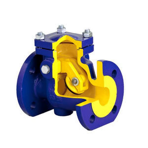 swing check valve