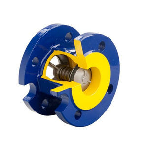 poppet check valve