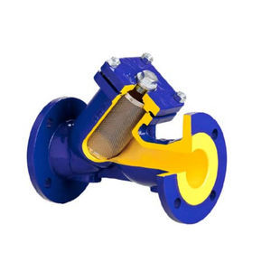 Y strainer
