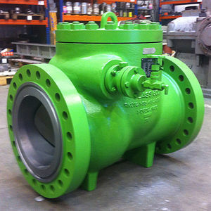 swing check valve