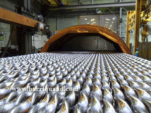 shell and tube heat exchanger / liquid/liquid / gas/liquid / gas/gas