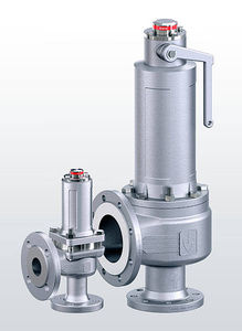 steam safety valve 1