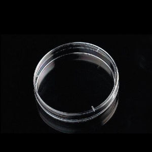 Petri dish