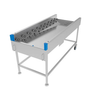 roller conveyor