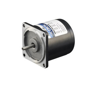 2-pole motor / single-phase / induction / 60 V