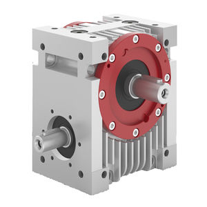 worm gear reducer