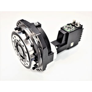 spur gear
