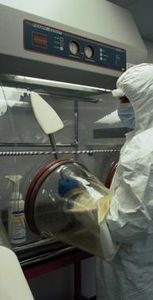 ISO 5级安全壳隔离器