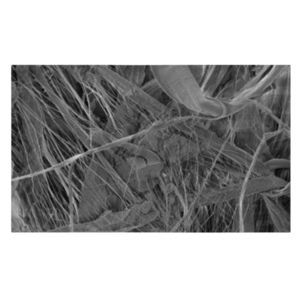 PTFE filter medium 1
