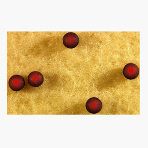 polyester fiber 1
