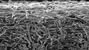microfiber filter medium 1