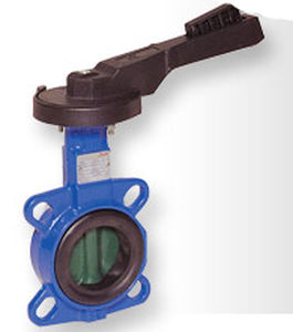 butterfly valve