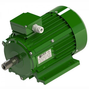 three-phase motor / asynchronous / 400 V / multi-speed