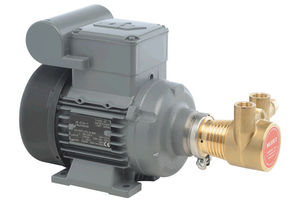 AC motor