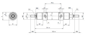 pneumatic cylinder