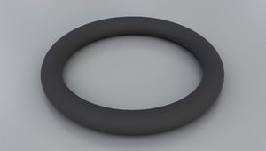 O-ring seal