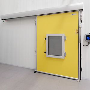 sliding door 1