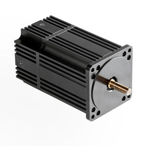 直流伺服电动机