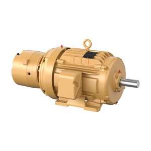 AC brake motor 1