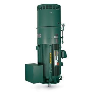 vertical motor 1