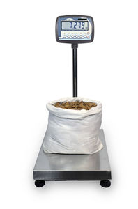 scale with detachable indicator