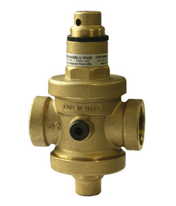 water pressure regulator and reducer