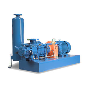 liquid ring pump vacuum system