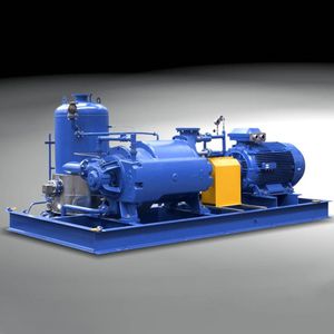 liquid ring pump vacuum system