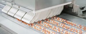 blister packaging machine 1