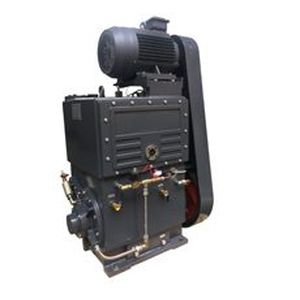 Roots vacuum pump