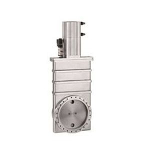 gate valve
