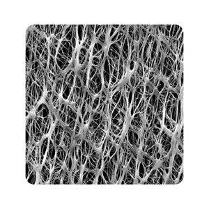 filter membrane
