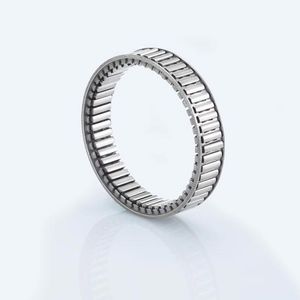 sprag freewheel cage 1
