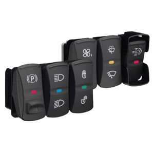 vehicle switch 1