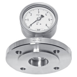 带法兰连接的隔膜密封