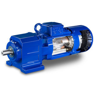 permanent magnet gear-motor