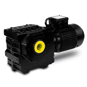 worm gear-motor