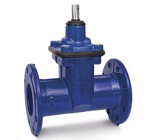 gate valve