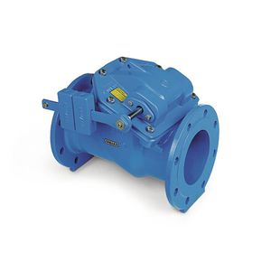 swing check valve