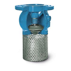 piston check valve