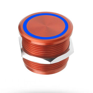 piezoelectric switch / single-pole / LED-illuminated / panel-mount