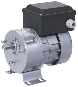 asynchronous gear-motor