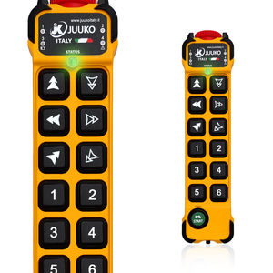 12-button remote control 1