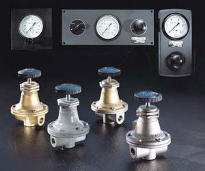 gas pressure regulator