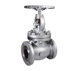 globe valve