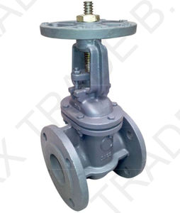 gate valve