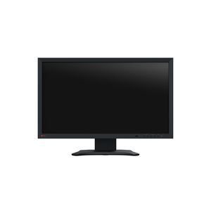 video surveillance monitor