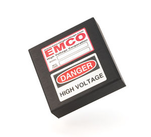 encapsulated DC/DC converter module