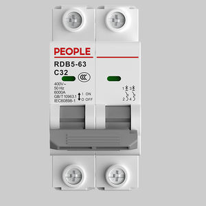 thermal-magnetic circuit breaker 1